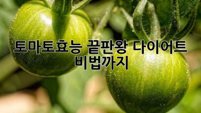 토마토🍅효능 끝판왕! 다이어트 비법까지?