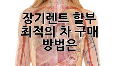 장기렌트? 할부? 🤔 최적의 차 구매 방법은? 🚗💨