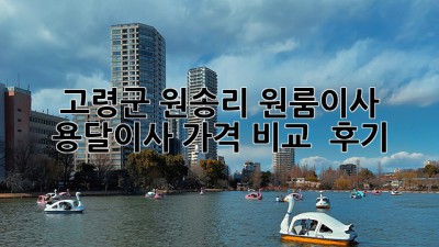 고령군 원송리 원룸이사? 용달이사 가격 비교 & 후기!